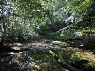 The Shireburn Arms - 8