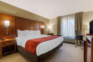 Comfort Inn & Suites Macon West - Macon - 1