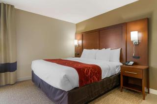 Comfort Inn & Suites Macon West - Macon - 9