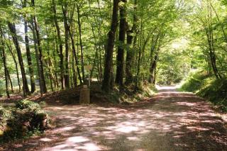 La Métairie près de Bordeaux - Haux - 8