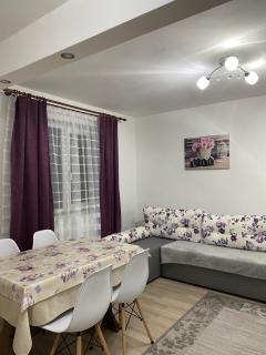 5 Residence Apartment - Cavnic - 8