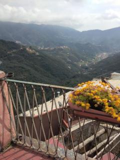 Appartamento Oleandro - Montale - 7