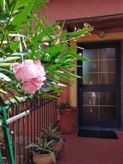Appartamento Oleandro - Montale - 1