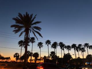 238 Surf Song Resort - St Pete Beach - 1