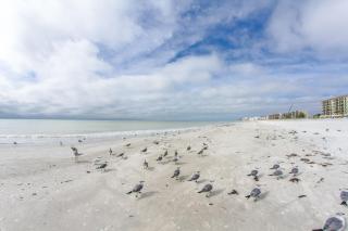 111 Madeira Norte Condo - St Pete Beach - 1