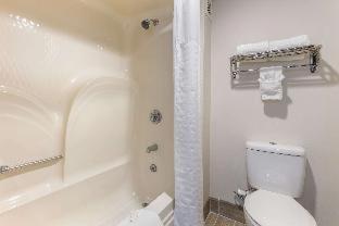Quality Inn - Cape Girardeau - 6