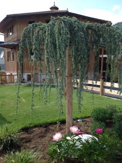 Ferienhaus Oktogon - Itter - 6