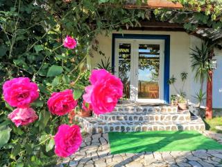 Teo Guest Rooms - Baile Felix - 9