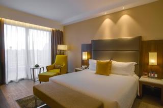 Crowne Plaza Nairobi Airport by IHG - Nairobi - 8