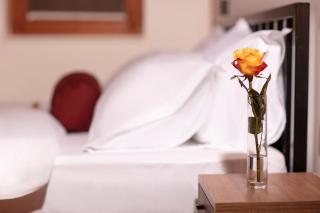 Grand Boutique Hotel - Pristina - 9