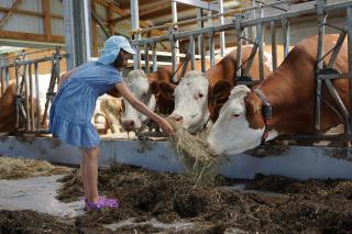 Kinderbauernhof Salmanner - Steinbach an der Steyr - 8