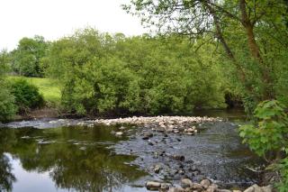 Riverbank Cottages - 3
