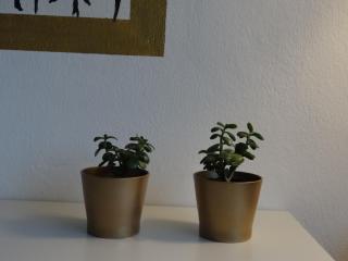Hostel Stralsund - Stralsund - 9
