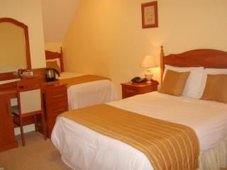Tudor House Guest House - Dungarvan - 3