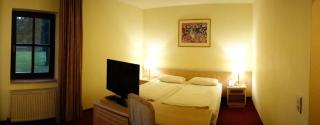 Landhotel Burkartsmühle - Hofheim am Taunus - 2