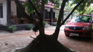 Veedu Homestays - Kollam - 9