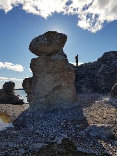 Stuga Roma Gotland - Romakloster - 8