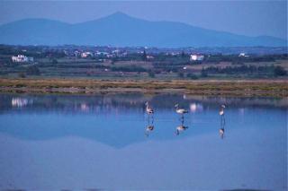 Infinite Blue, Horizon, Elegance, Hospitality - 8