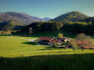 Gschwendtnerhof App10 KrausW - Aschau im Chiemgau - 9