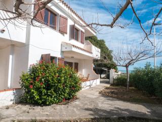 Casas Pareadas Romana - Alcossebre - 1