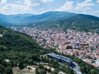 The Lynx Mountain Resort - Florina - 8