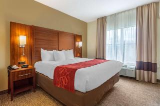 Comfort Suites Southaven I-55 - Southaven - 7
