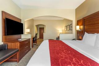Comfort Suites Southaven I-55 - Southaven - 6