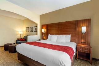 Comfort Suites Southaven I-55 - Southaven - 5