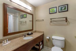 Comfort Suites Southaven I-55 - Southaven - 4