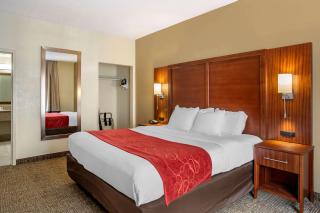 Comfort Suites Southaven I-55 - Southaven - 2