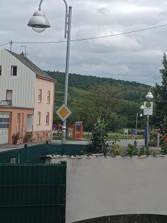 Ahr-Weinbergblick - 4