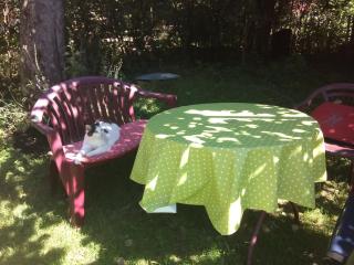 Neueröffnung, 2 wunderschöne Ferienwohnungen im Grünen - 1