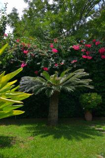 B&b Mondello Resort - Palermo - 4