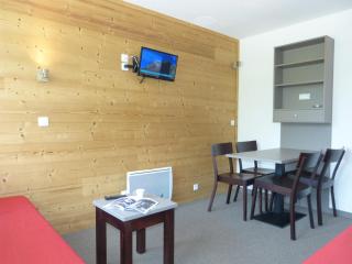 travelski home select - Vue Pistes - La Plagne - 4