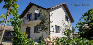 PENSIUNEA AGROTURISTICĂ ANGHELIKI - Tulcea - 9