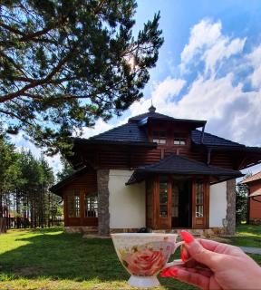 Vila Panić Zlatibor - Zlatibor - 0
