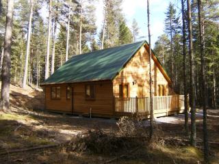 Cairngorm Lodges - Aboyne - 5