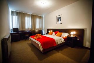 Hotel Sv. Mihovil - Trilj - 4