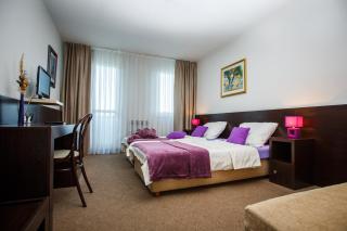 Hotel Sv. Mihovil - Trilj - 7