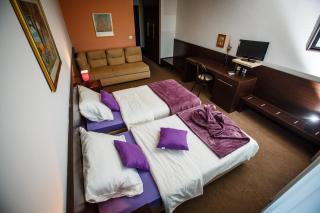 Hotel Sv. Mihovil - Trilj - 8
