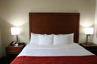 Comfort Inn Wichita Falls Near University - Wichita Falls - 7