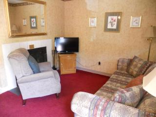 Oak Square 201 - Gatlinburg - 5
