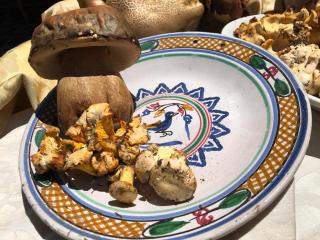 Hotel Pietrapanna - Calvello - 4