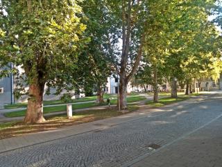 Park Boutique Hotel - 5