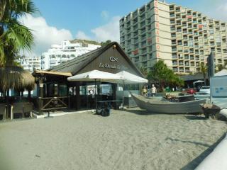 Chinasol Tropical - Almuñécar - 8