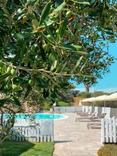 Park Hotel Asinara - Stintino - 4