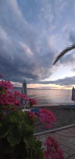 Artemis Hotel - Amarynthos - 4