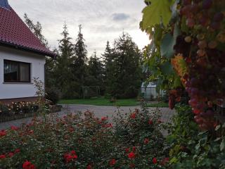 Ferienhaus Rosenhof - 4