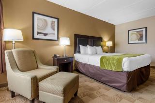 Comfort Inn Warner Robins - Robins Air Force Base Area - 9