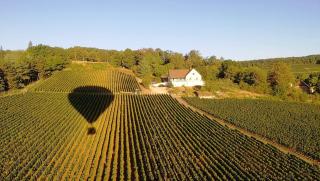 Le Mont Laurent - Buxy - 9